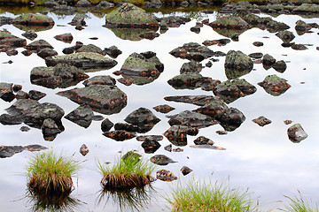 Image showing reflective rocks and tuft of grass