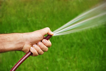 Image showing Watering grass
