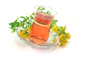 Image showing St John's Wort tea