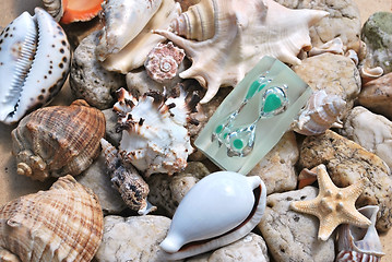 Image showing few seashells