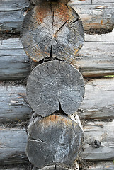 Image showing wood