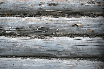 Image showing wood