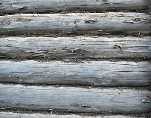 Image showing wood