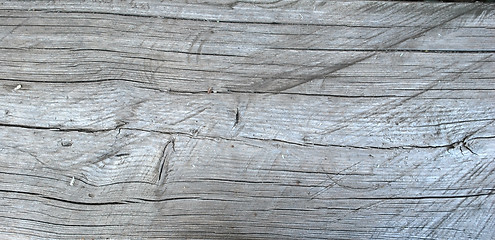 Image showing wood