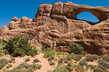 Image showing Skyline Arch