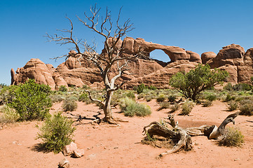 Image showing Skyline Arch