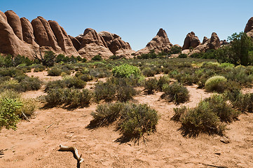 Image showing Red rocks