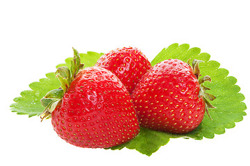 Image showing Organic strawberries