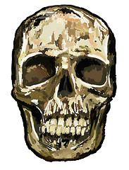 Image showing skull