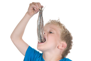 Image showing Eating a herring the Dutch way