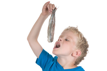 Image showing Eating a herring the Dutch way