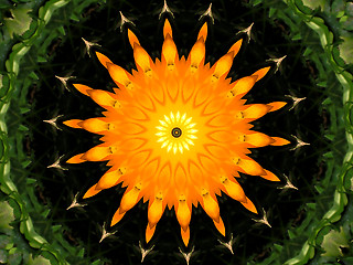 Image showing Orange sun