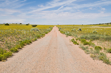 Image showing Dirt road