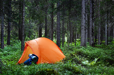 Image showing Camping in the Forest