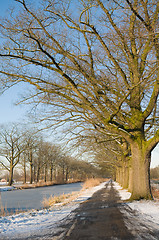 Image showing Winter Scenic