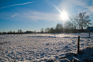 Image showing Winter Scenic