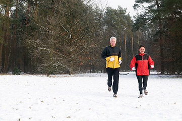 Image showing Running In The Snow