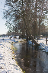 Image showing Winter Scenic