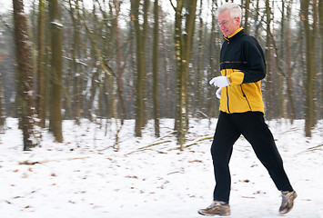 Image showing Running In The Snow