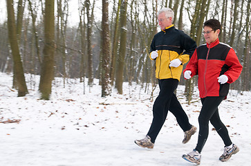 Image showing Running In The Snow