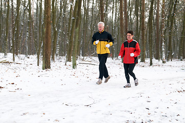 Image showing Running In The Snow
