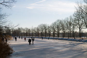 Image showing Skating