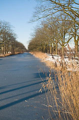 Image showing Winter Scenic