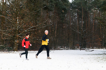 Image showing Running In The Snow