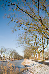 Image showing Winter Scenic