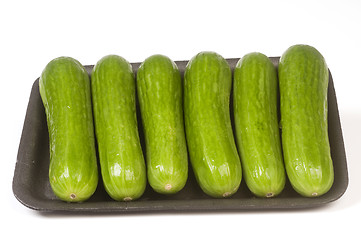 Image showing persian mini cucumbers