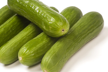 Image showing persian mini cucumbers