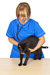 Image showing Veterinary