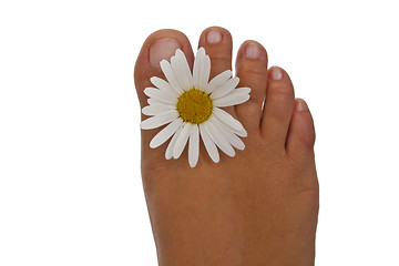 Image showing Pedicure