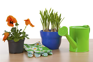 Image showing Flowerpots