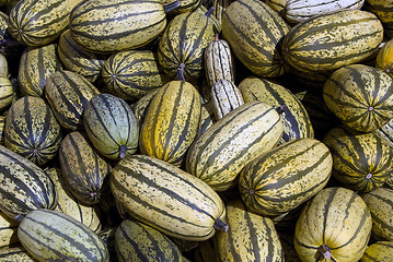 Image showing Delicata squash