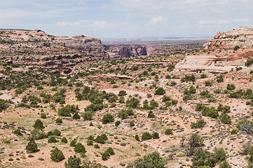 Image showing Desert