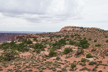 Image showing Desert