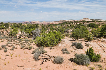 Image showing Desert