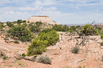 Image showing Desert