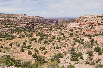 Image showing Desert