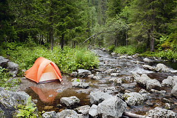 Image showing Camping in the Forest