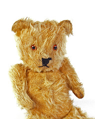 Image showing Teddy bear