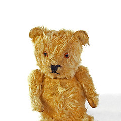 Image showing Teddy bear.