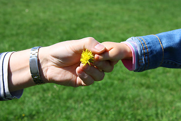 Image showing Handshake