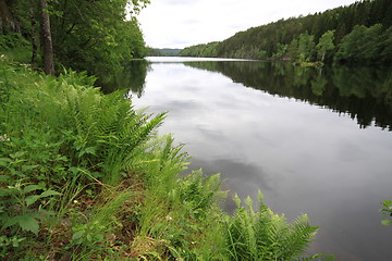 Image showing Lake