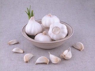 Image showing garlic