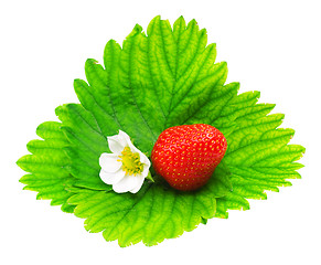 Image showing Strawberry