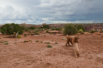 Image showing Desert