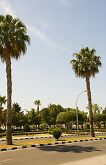 Image showing pedestrian seafront promenade Limassol Lemesos Cyprus