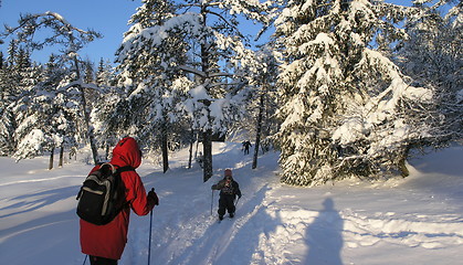 Image showing skiing II